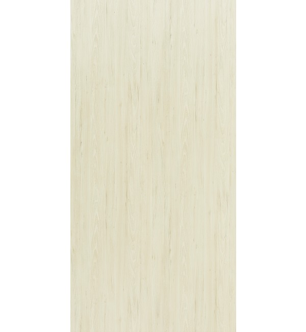 Argent Elm